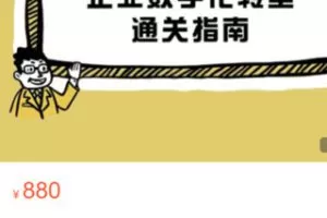 【30[红包]·S2960企业数字化转型通关指南20讲】