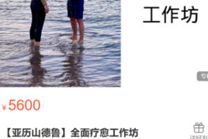 【100[红包]·S2884【亚历山德鲁】全面疗愈工作坊】