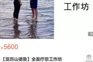 【100[红包]·S2884【亚历山德鲁】全面疗愈工作坊】