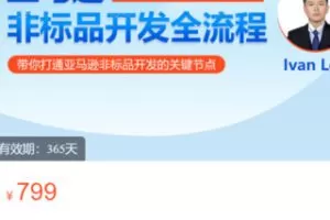 【29[红包]·S3342亚马逊非标品开发全流程】