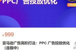 【30[红包]·S3344亚马逊广告高阶打法：PPC 广告投放优化】