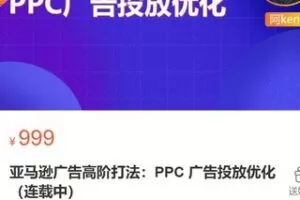【30[红包]·S3344亚马逊广告高阶打法：PPC 广告投放优化】