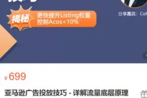 【25[红包]·S3350亚马逊广告投放技巧 – 详解流量底层原理+广告漏斗逻辑】