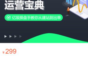 【15[红包]·S3352新手必学的独立站系统运营技巧：选品调研定位+独立站UED设计+Google广告投放】