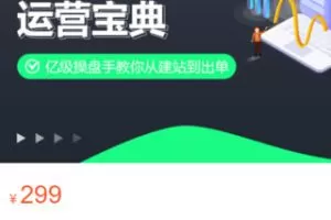 【15[红包]·S3352新手必学的独立站系统运营技巧：选品调研定位+独立站UED设计+Google广告投放】