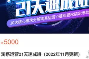 【88[红包]·S3228淘系运营21天速成班