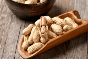 【129.9[红包]·《小马白话期权-乐开花-商品期权培训》】