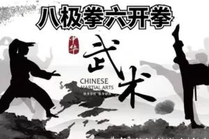 [众筹9.99[红包]《抖音易知课堂-八极拳绝招六大开拳》]