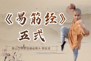 [众筹9.99[红包]《抖音易知课堂-八极拳古传小架》]