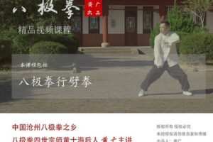 [众筹2.99[红包]《抖音易知课堂-八极门古老拳术行劈拳（高阶拳法）》]