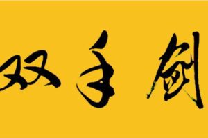 [众筹19.99[红包]《抖音易知课堂-零基础学双手剑》]