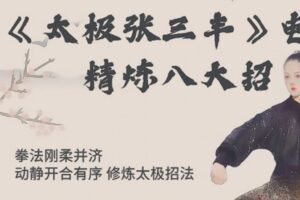 [众筹19.99[红包]《抖音易知课堂-《太极张三丰》精炼八大招》]