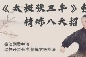 [众筹19.99[红包]《抖音易知课堂-《太极张三丰》精炼八大招》]