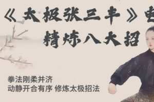 [众筹19.99[红包]《抖音易知课堂-《太极张三丰》精炼八大招》]