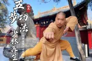 众筹5.99[红包]《抖音易知课堂-少林养生《五步功法》》]