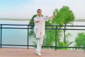 众筹19.99[红包]《抖音易知课堂-陈氏太极拳传统老架一路74式》]