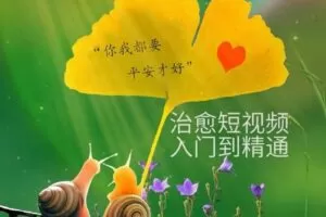 众筹19.99[红包]《抖音易知课堂-治愈短视频配全套素材及安卓软件》]