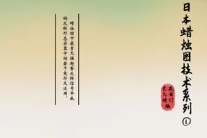 【众筹19.9[红包]·《日本蜡烛图系列讲座之一—蜡烛图最常见趋势看涨形态平底锅反转在实盘中的若干种变形及运用》】