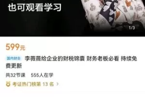 【众筹19.9[红包]·《李薇薇给企业的财税锦囊 财务老板必看 持续免费更新》】