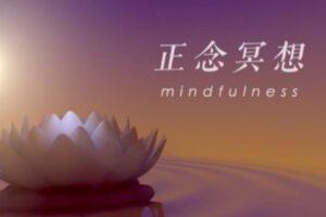 【众筹33.3[红包]·《抖音易知课堂-正念冥想终极课》】