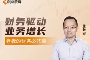 【捐赠价4.9[红包]·《财务驱动业务增长——老板的财务必修课》】