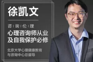 【捐赠价19.99[红包]·《曾奇峰-徐凯文 | 咨询伦理：心理咨询师从业及自我保护必修》】