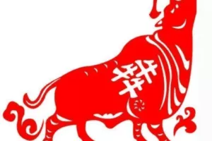 【捐赠价39.9[红包]·《山中策市训练营》】