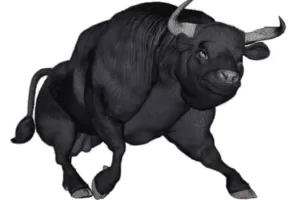 【捐赠价49.9[红包]·《川中寻牛实战班二期》】