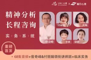 【捐赠价29.99[红包]·《曾奇峰-精神分析取向长程咨询实务系统课》】