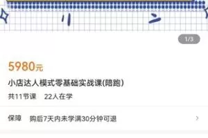 【捐赠价79.9[红包]·《小店达人模式零基础实战课(陪跑）》】 【原版无水印】