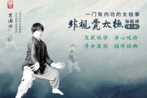 【捐赠价19.99[红包]·《答摩-非视觉太极知机班六期训练营》】