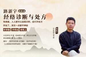 【捐赠价19.99[红包]·《答摩-路新宇 | 经络诊断与处方课》】