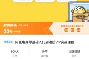 【捐赠价4.9[红包]·《闲鱼电商零基础入门到进阶VIP实战课程》】