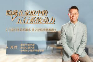 捐赠价19.99[红包]《答摩-肖然 | 隐藏在家庭中的五行系统动力》]