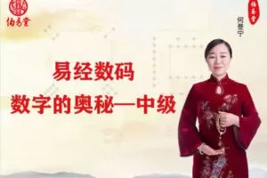【捐赠9.99[红包]·《伯易堂-易经数码-数字的奥秘-中级》】
