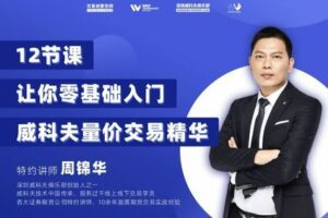 【捐赠59.99[红包]·《威科夫交易创客空间-2022全新版威科夫线上精华班》】