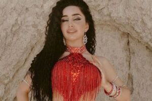 【捐赠价19.9[红包]·《【成品舞】艾莉娜鼓舞《明星待遇》》】