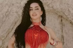 【捐赠价19.9[红包]·《【成品舞】艾莉娜鼓舞《明星待遇》》】