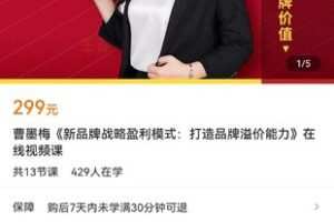 【捐赠价19.9[红包]·《曹墨梅《新品牌战略盈利模式：打造品牌溢价能力》在线视频课》】 【原版无水印】
