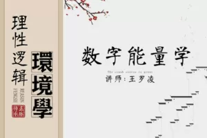 【29.9[红包]·【王罗凌说】数字能量课】