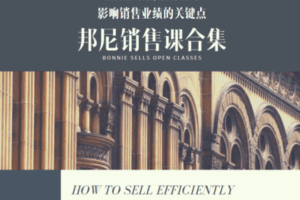 【19.9[红包]·【邦尼销售教育知识店铺】影响销售业绩的关键点合集】