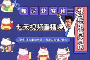 【29.9[红包]·【邦尼销售教育知识店铺】邦尼销售·获客班】