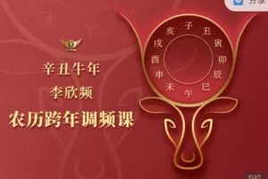 【捐赠9.99红包]·《天行未来系-李欣频 | 辛丑牛年农历跨年调频课】