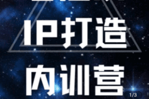 【捐赠240[红包]·《学浪-老油条个人IP内训营》】 【原版无水印】