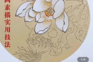 【捐赠19.9[红包]·《学浪-莉苼 国画素描实用技法》】 【原版无水印】