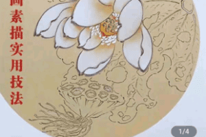 【捐赠19.9[红包]·《学浪-莉苼 国画素描实用技法》】 【原版无水印】