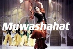 【捐赠49.9[红包]·《媚颜国际东方舞-《Muwashahat宫廷舞》》】 【原版无水印】