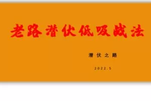 【捐赠49.99红包]·《淘金术-老路潜伏低吸战法】