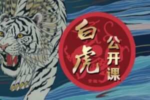 【捐赠9.9[红包]·《白虎公开课：复盘赵老哥1万倍交易心法（附交割单）》】
