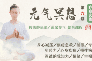 【捐赠39.9[红包]·《形气神静修堂-元气冥想（第六期）疗愈静修营（5月27开营）》】 【原版无水印】